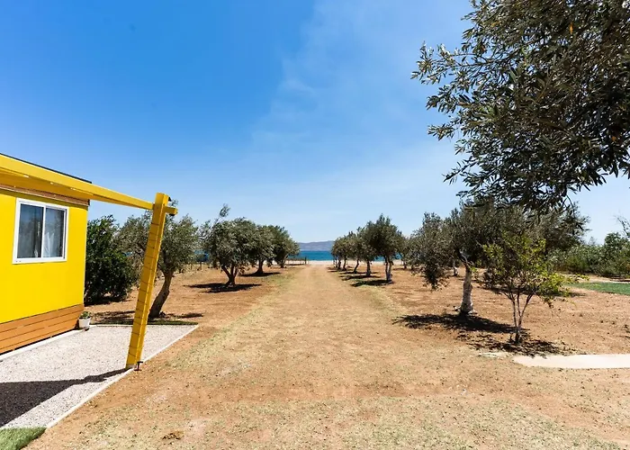 Olive Grove Villa By The Beach