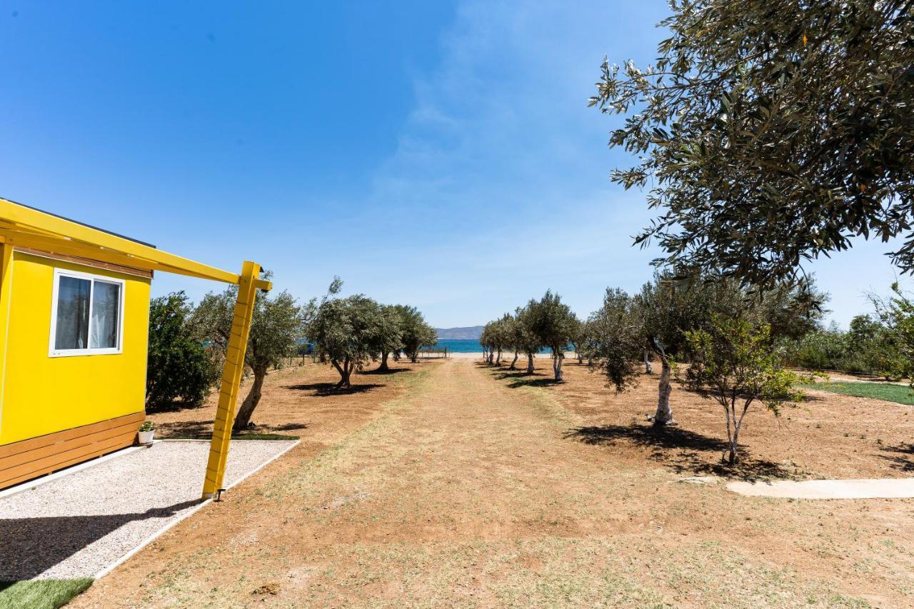 Apartment Olive Grove By The